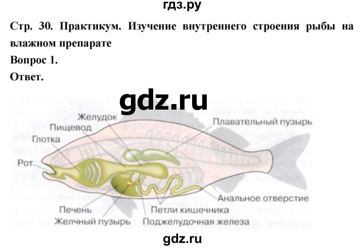 ГДЗ по биологии 8 класс Суматохин Углубленный уровень часть 2 / §5 / практикум - 1, Решебник