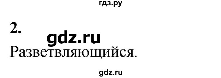 ГДЗ по информатике 6 класс Босова самостоятельные и контрольные работы СР. типы алгоритмов / вариант 2 - 2, Решебник