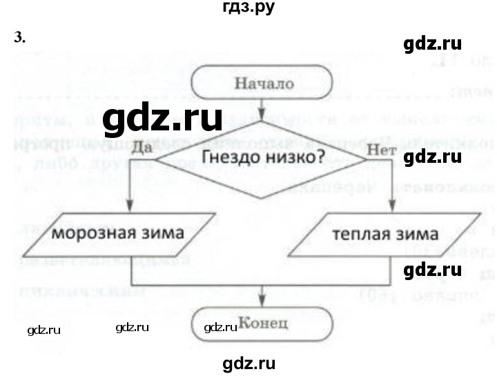 ГДЗ по информатике 6 класс Босова самостоятельные и контрольные работы СР. типы алгоритмов / вариант 2 - 3, Решебник