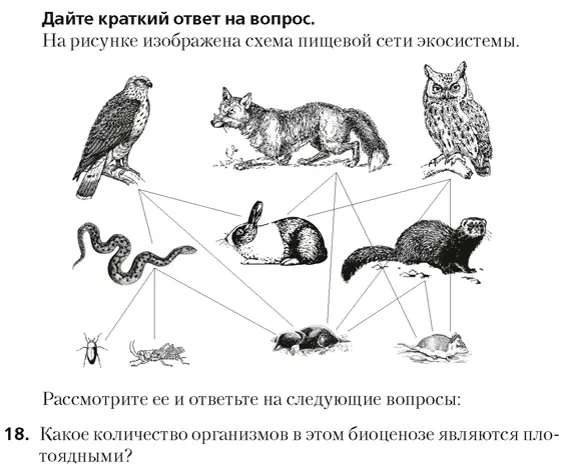 расскажи мне тварь