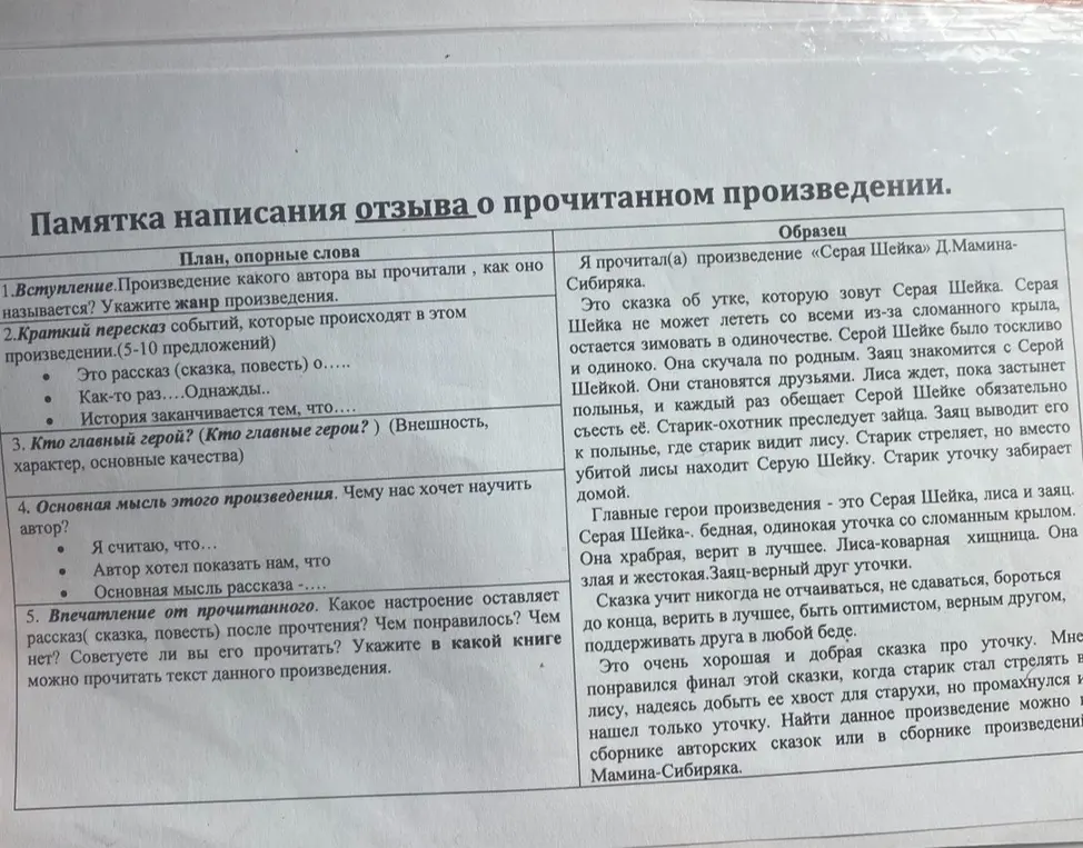 Написать отзыв по произведению В. Драгунского «Рабочие дробят камень» по плану написания отзыва 
