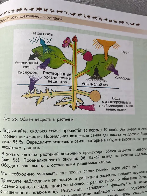выполни задания
