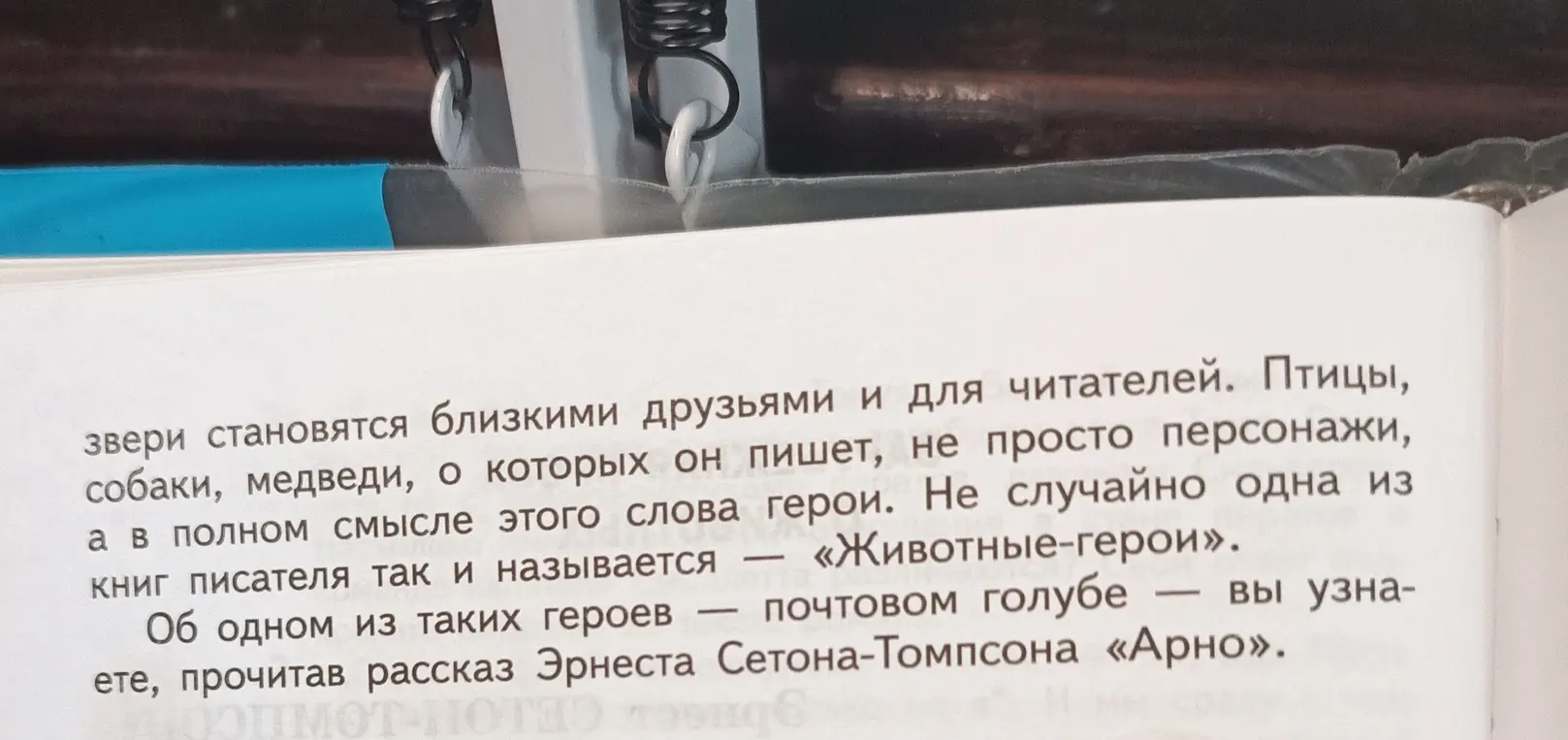 Напиши краткое содержание текста 
