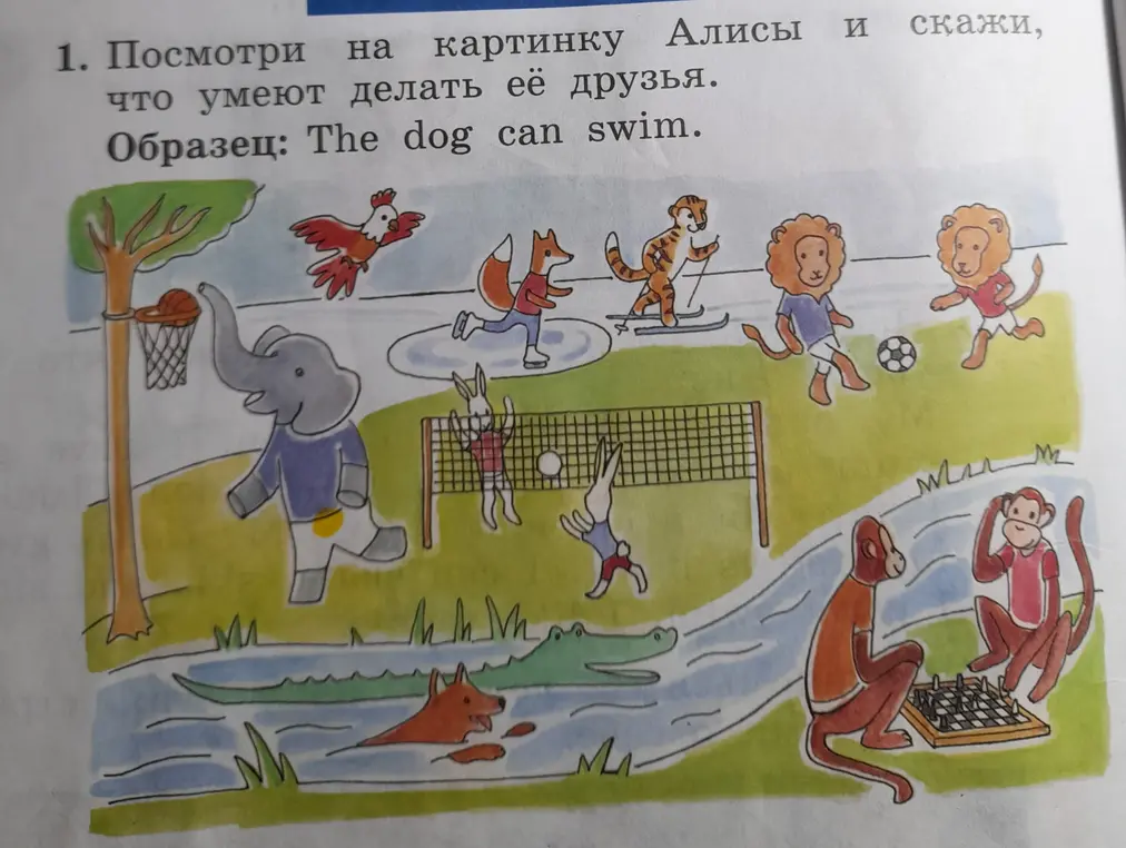 1. Посмотри на картинку Алисы и скажи, что умеют делать её друзья. Образец: The dog can swim. 