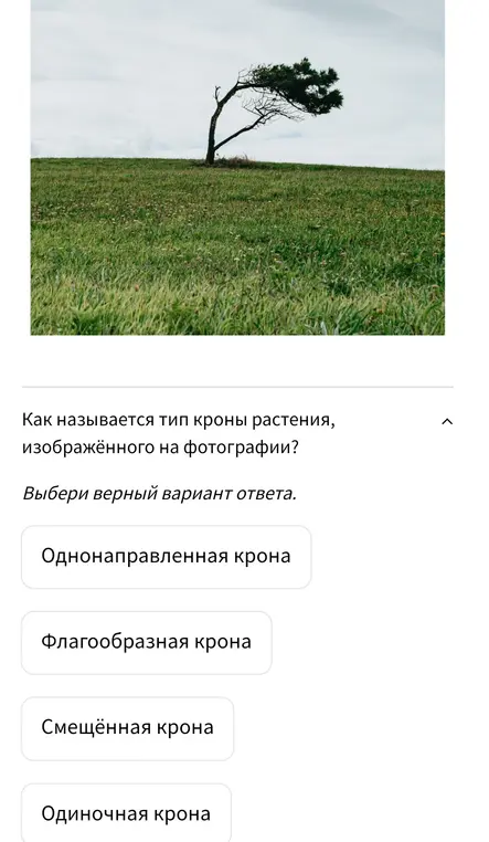 Какой ответ