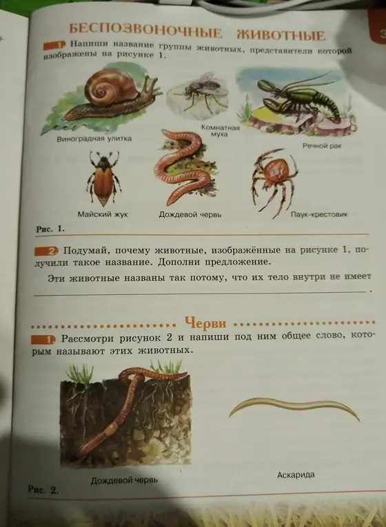 Реши все страницу