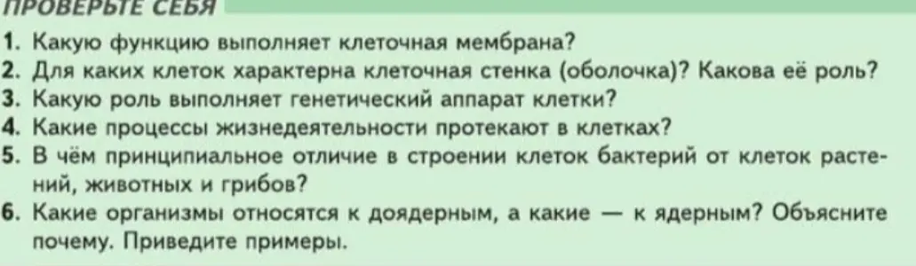  Напиши ответы на все вопросы 
