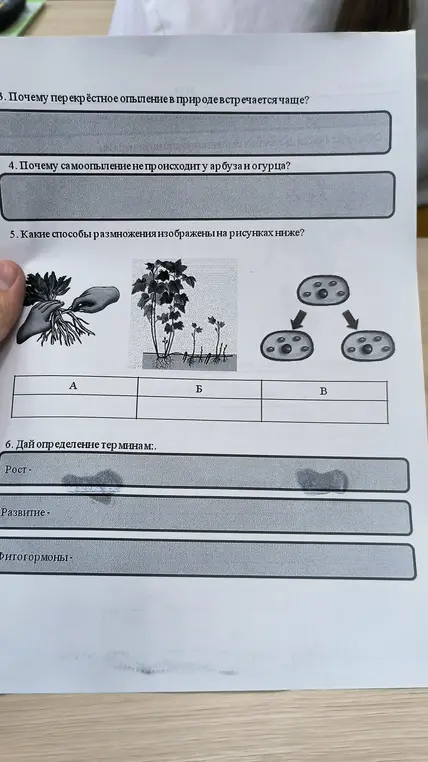 Ответы на всё
