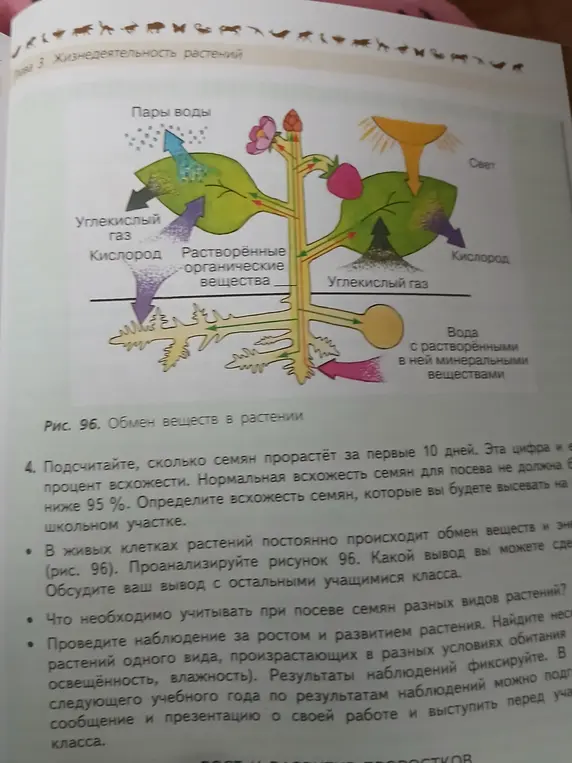 выполнить задание 
