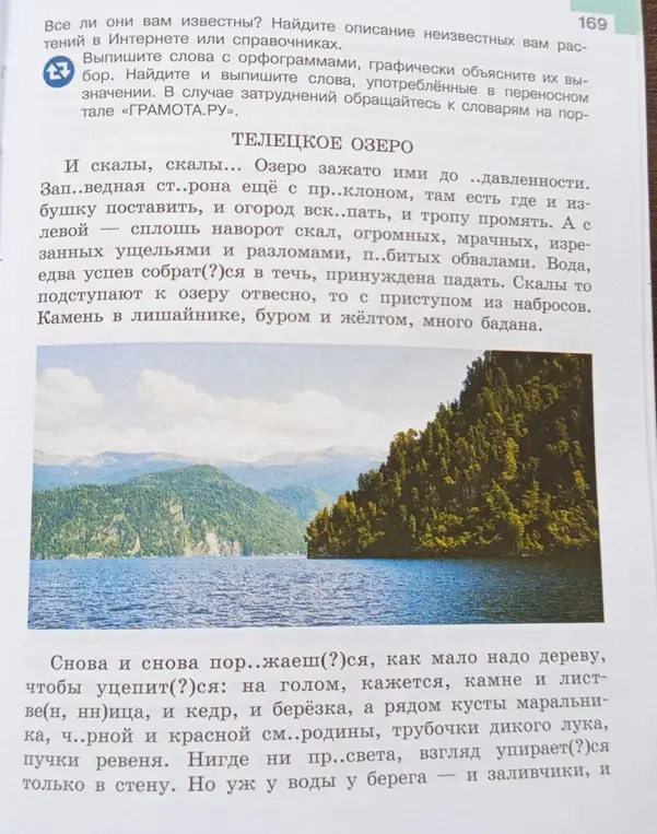 Выпишите слова с орфограммами графически объясните их выбор найдите и выпишите слова употреблённые в переносном значении