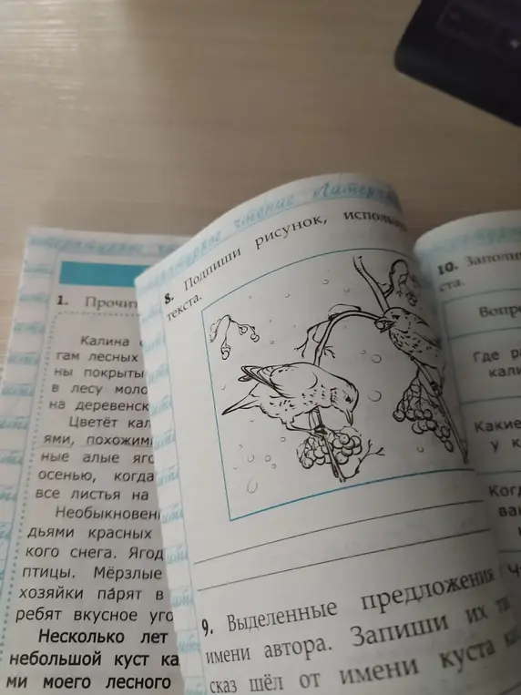Подпиши рисунок, используя слова из текста