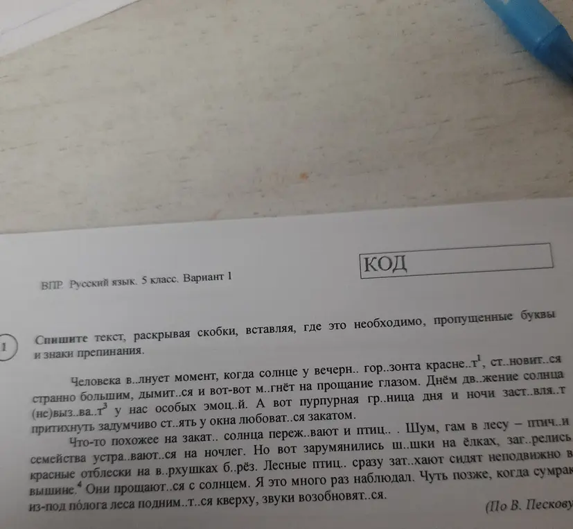 Спишите текст, раскрывая скобки, вставляя, где это необходимо, пропущенные буквы и знаки препинания