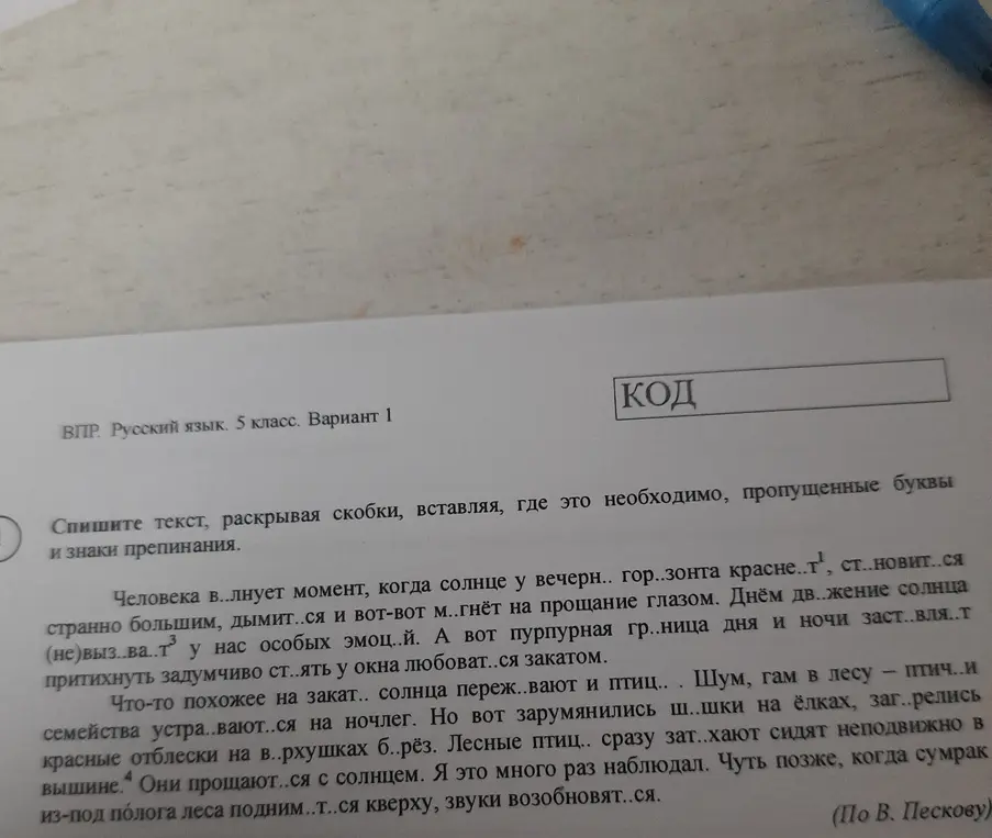 Почему по мнению автора птицы затихают при закате солнца?
