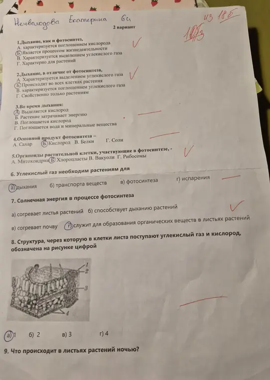 Найди 1 вариант этой работы и реши её