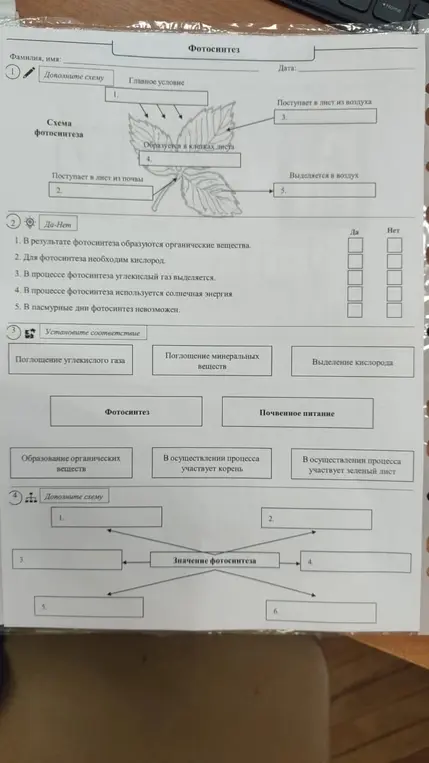 Рещи мне тест