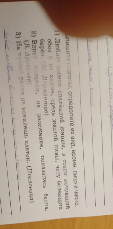 Выпишете глаголы,определите их вид, время, лицо и число