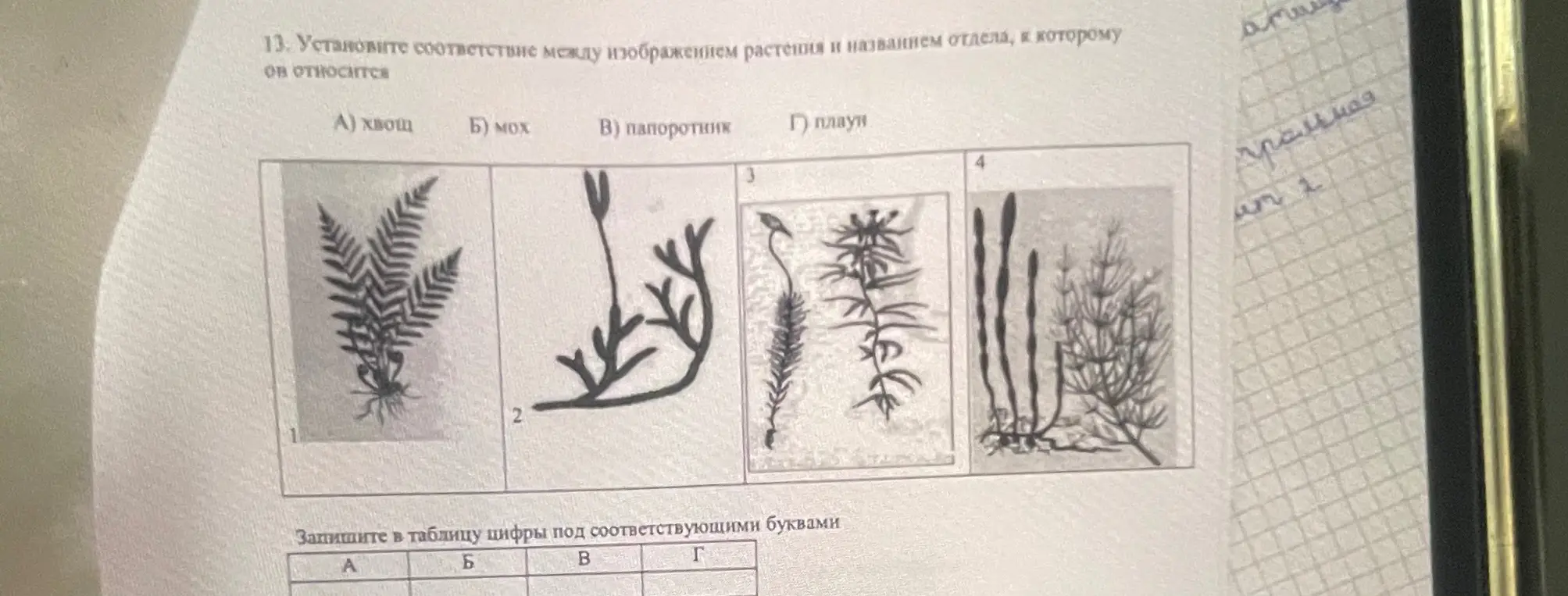 Что
