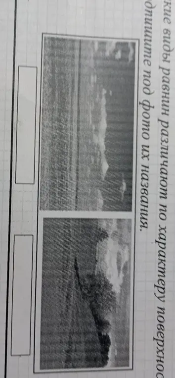Как решить это задание?