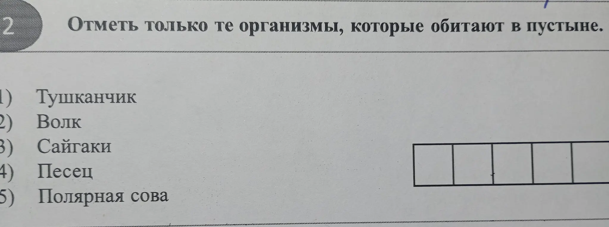 Как это решить?