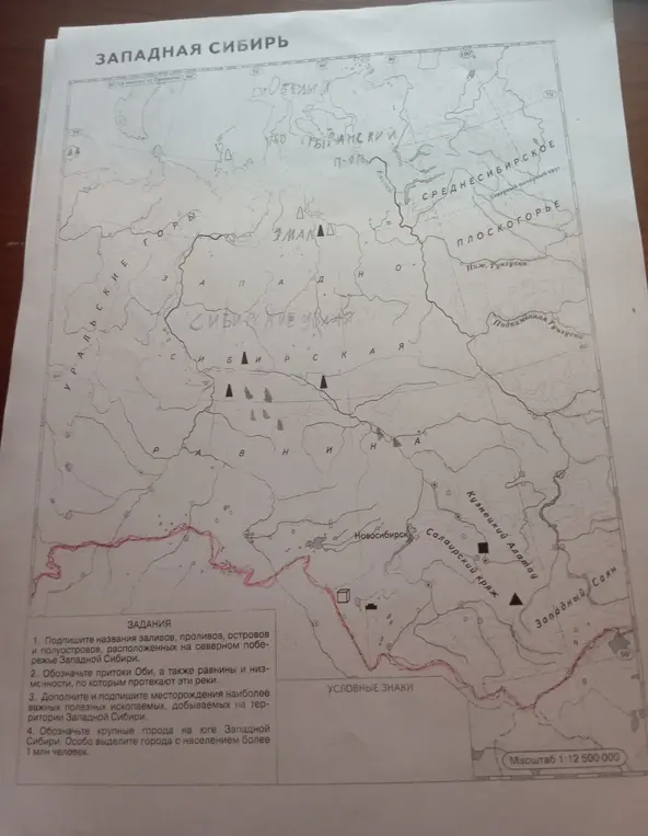 Выполни всё задания указанные в нижнем углу 