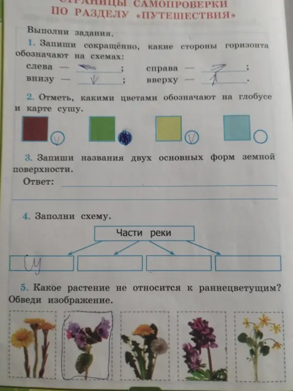 Найди ответы.