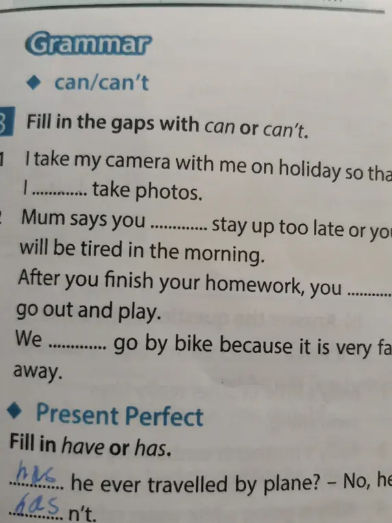 Fill in the gaps with can or can't