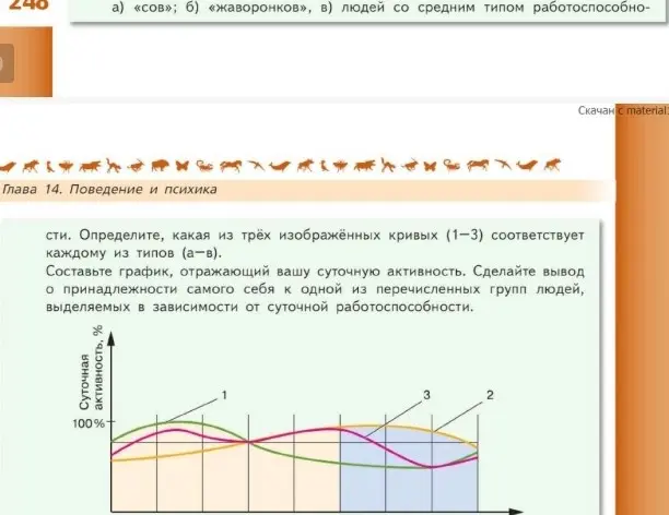 Составить график отражающий вашу суточную активность
