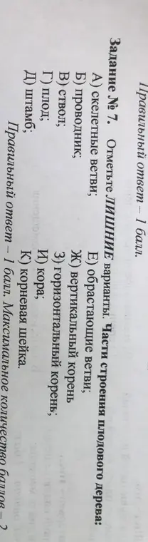 отметь лишние варианты 
