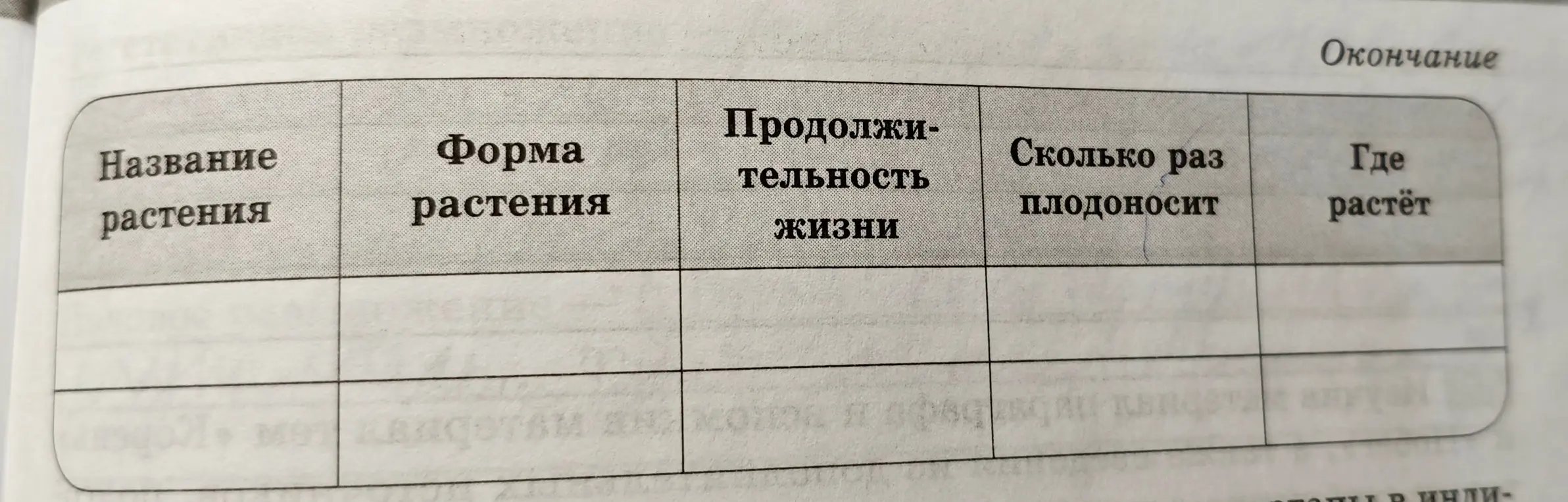 Напиши