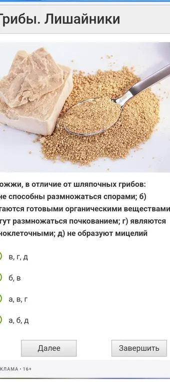 Выбери правильный ответ
