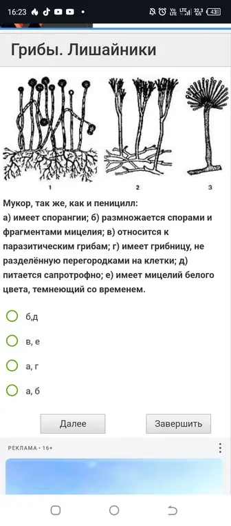 Выбери правильный ответ
