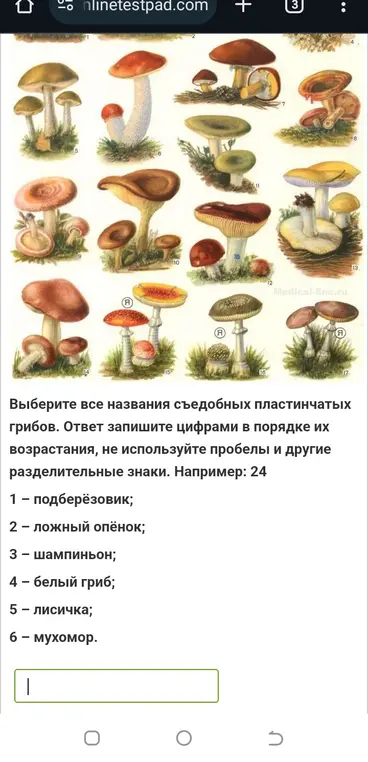 Выбери правильный ответ
