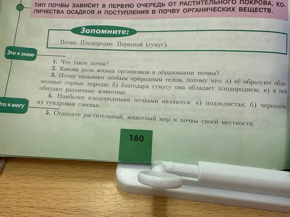 2.Какова роль живых организмов в образовании почвы