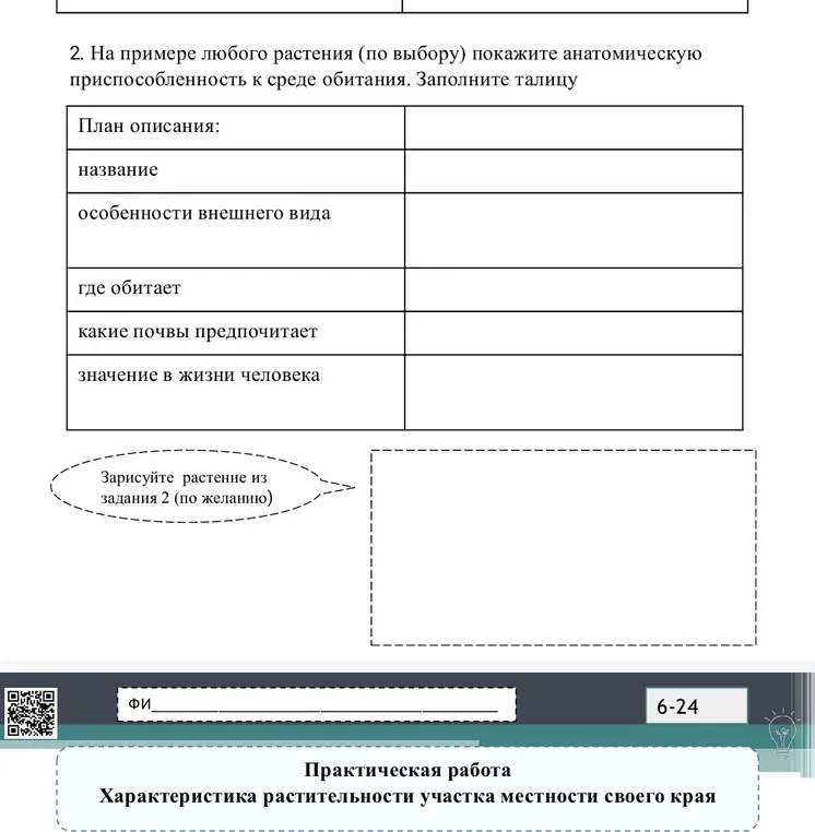Заполни таблицу, используя растение берёза 