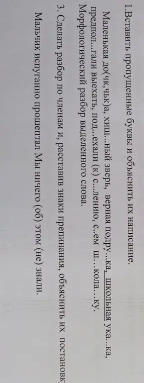 вставьте пропущененые буквы и объясните их написание 
