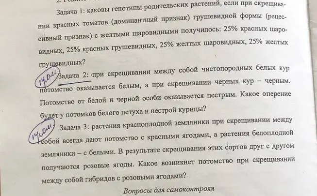 Задание 1 2 3