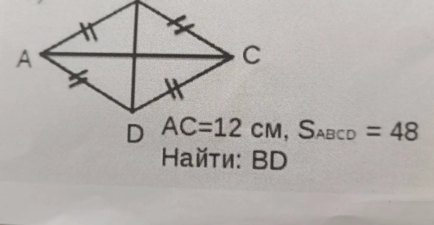 Решит задачу 