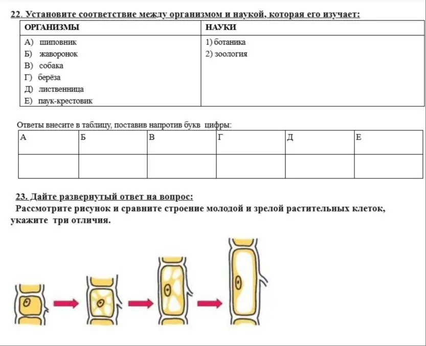Какие ораггизмы самостоятельно создают органические вещества из негрантчески
? 
