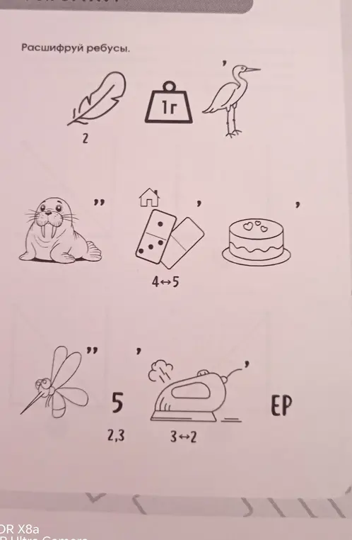 Рассшифруй ребусы