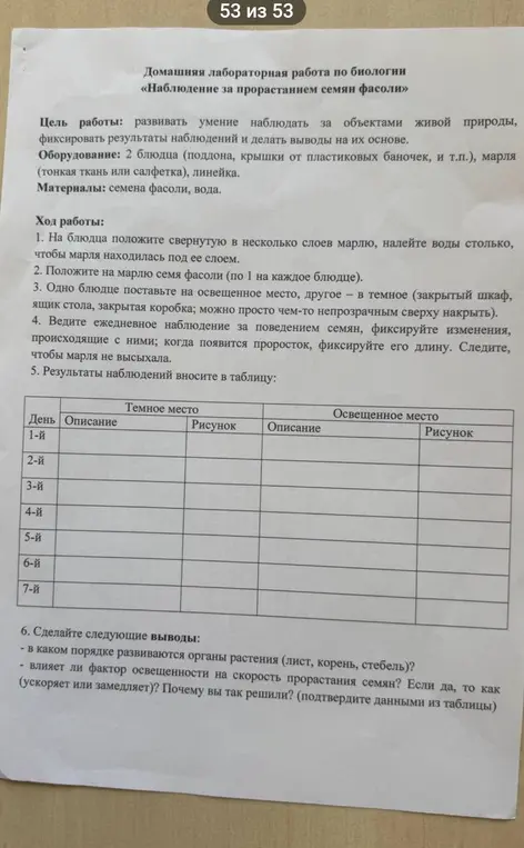 Внеси данные в таблицу роста фасоли в светлом и тёмном месте. Сформулируй вывод по плану 6 задания