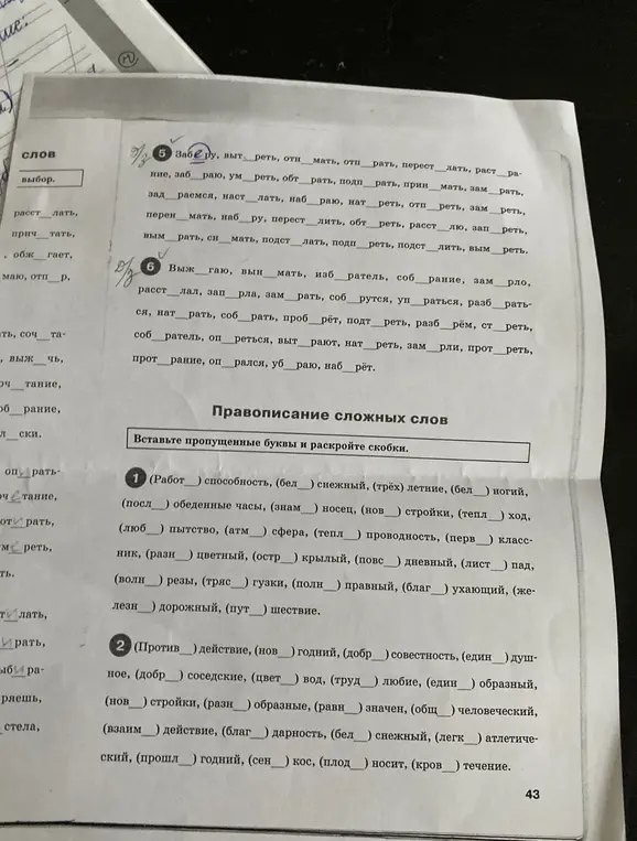 Тренажер пятый класс русский язык