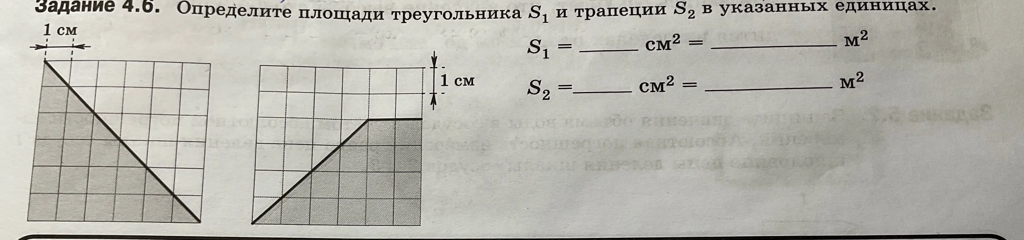 Какая площадь треугольника и трапеции