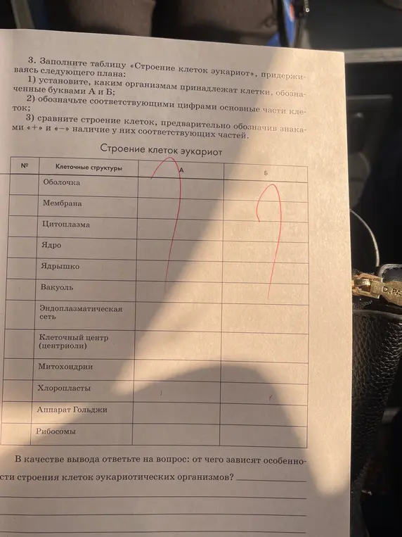 заполните таблицу «строение клеток эукариот» придерживаясь плана 1) установите каким организмам принадлежат клетки обозначенные буквами А и Б 2) обозначьте соответствующими цифрами основные части клетки 3) сравните строение клеток предварительно обозначив знаками «+» и «-« наличие у них соотвествующие части