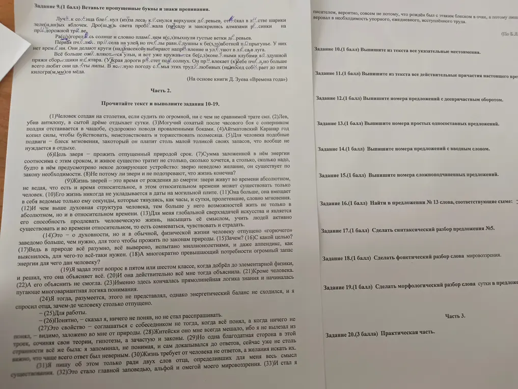 Реши задания по русскому языку