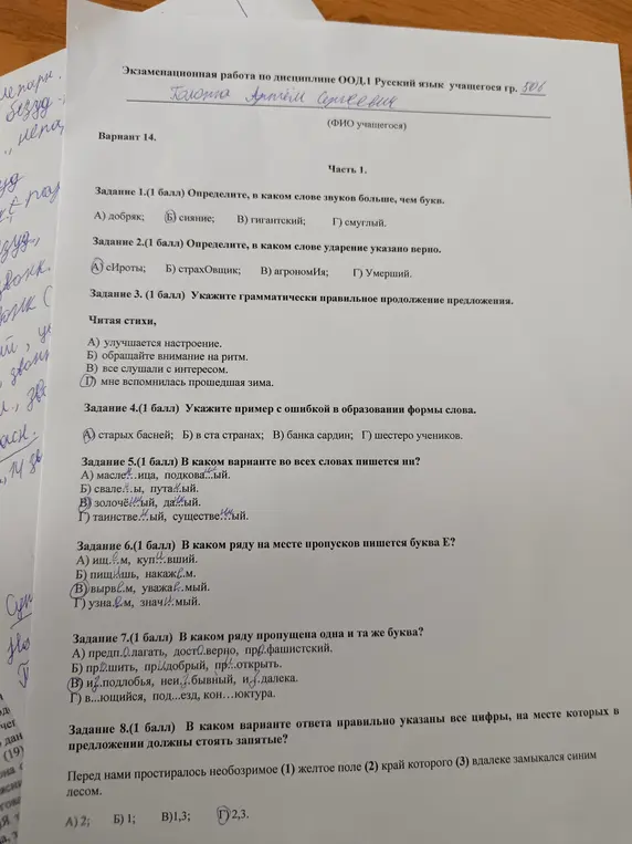 Реши задания по русскому языку
