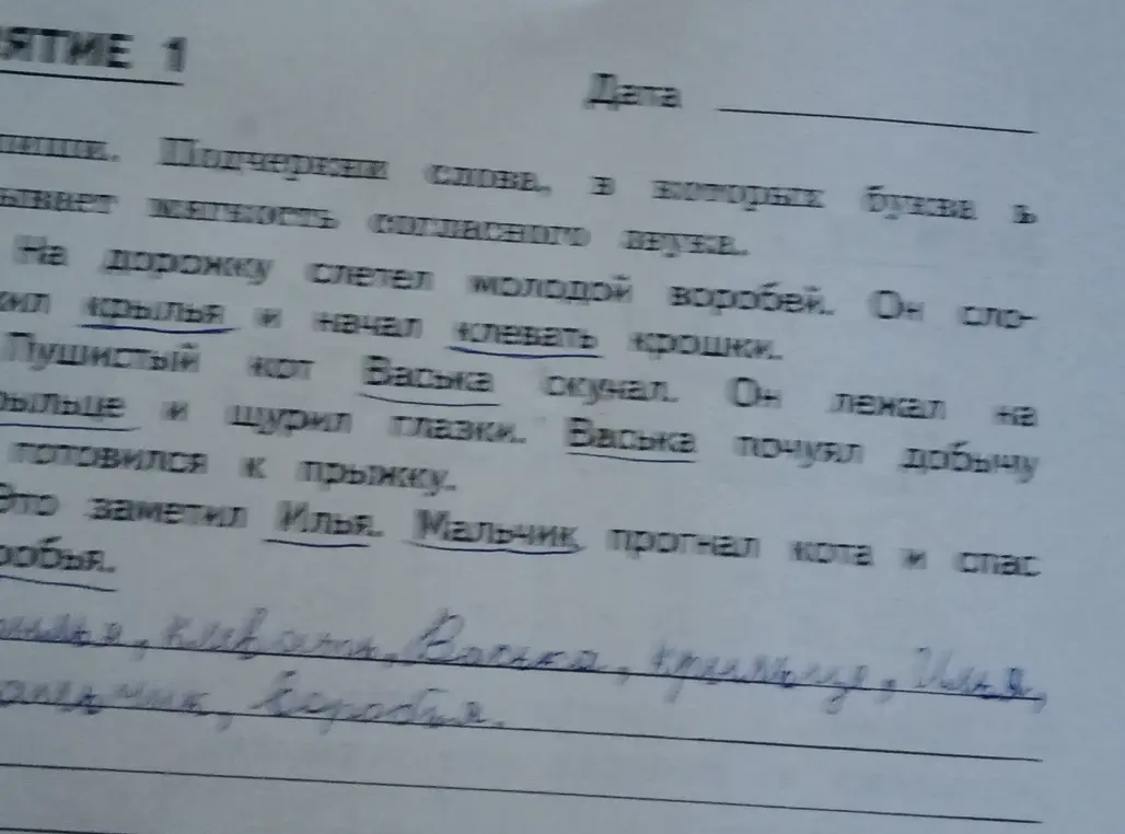 Спиши подчеркни слова в которых буква ь показывает мягкость согласного звука