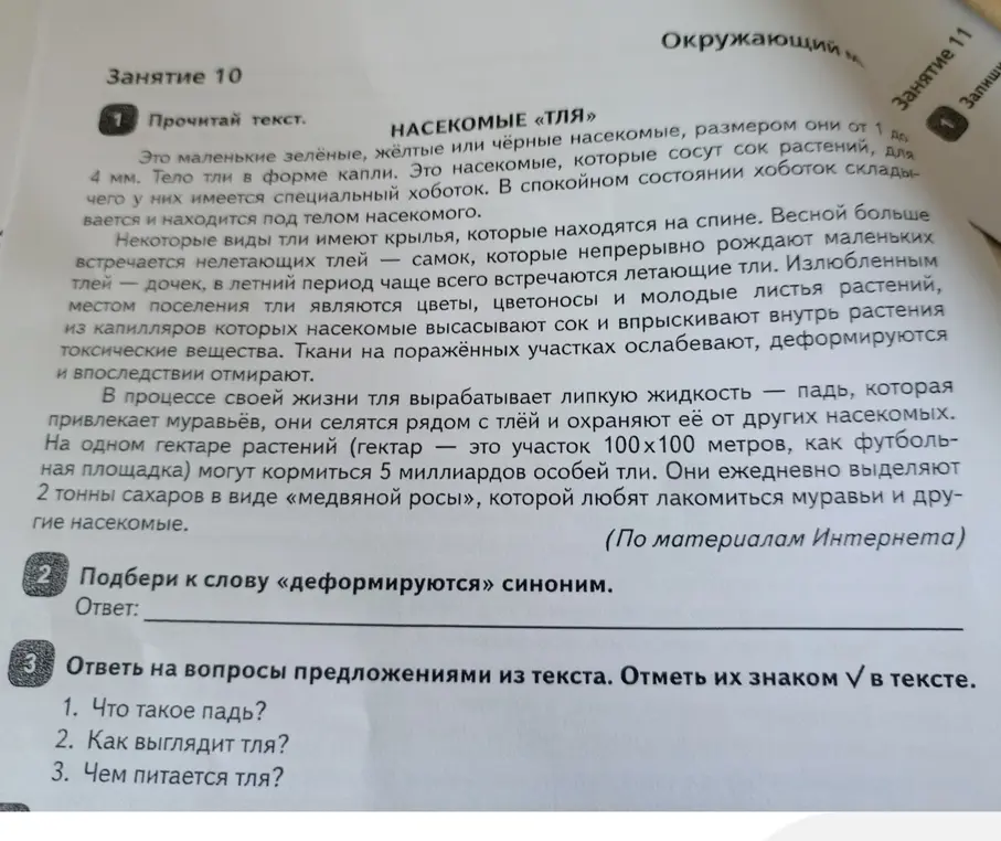 Мне нужно решение это задание на лето
