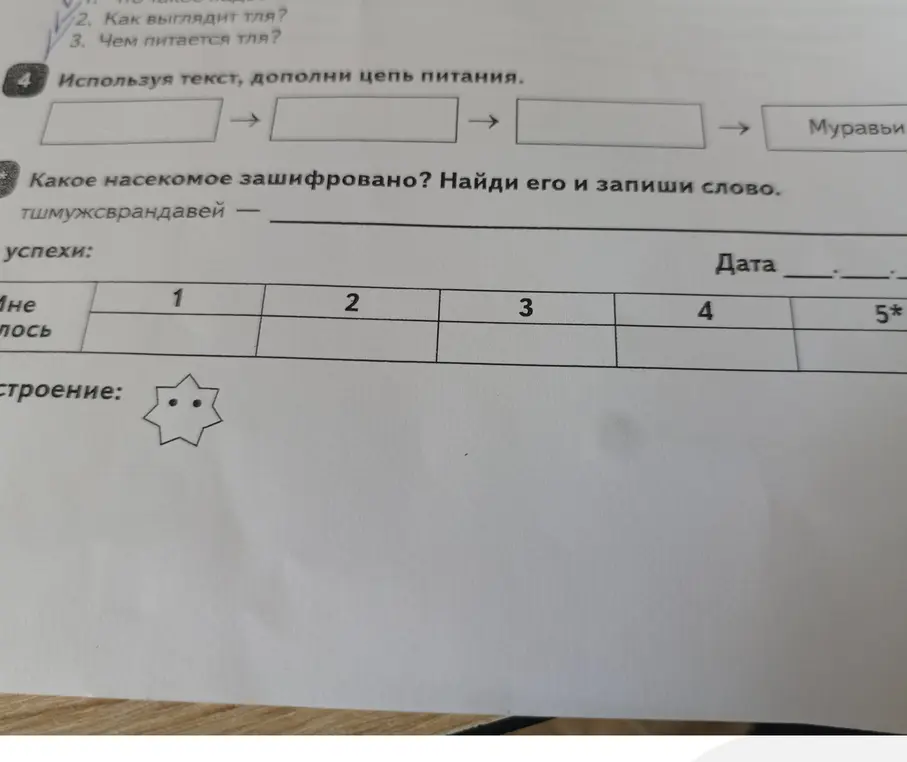 Мне нужно решение это задание на лето