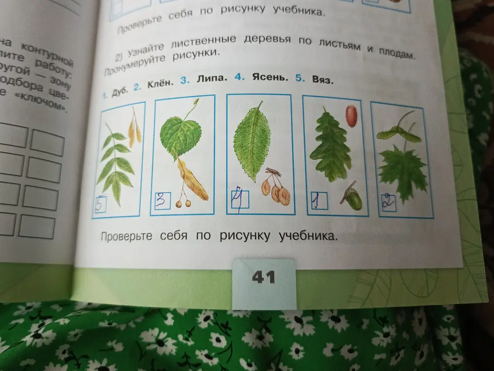 Решить
