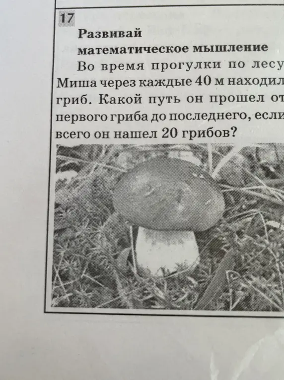 Реши задачу?